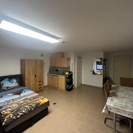 Zentrale Naehe Am Rhein Apartman Breisach