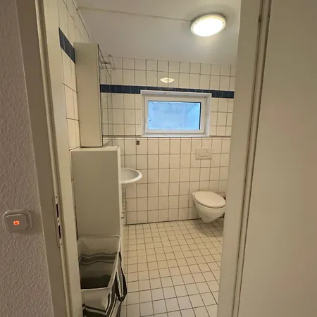 Zentrale Naehe Am Rhein Breisach